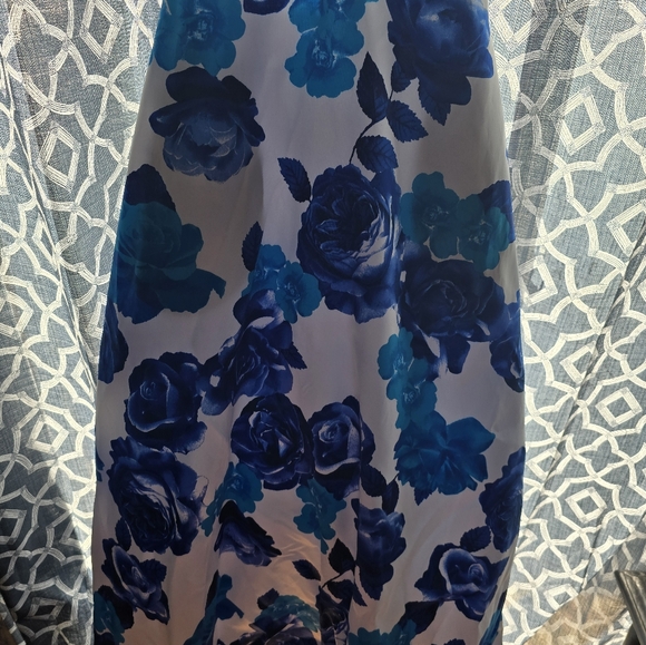 Prom Dress - Picture 4 of 9